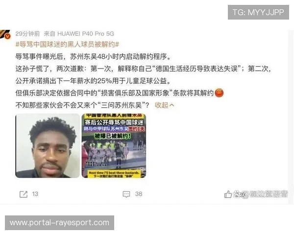 球迷种族歧视事件处罚加重，俱乐部连带责任明确